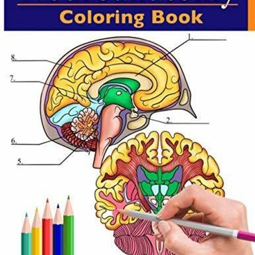 Stream DOWNLOAD/PDF Neuroanatomy Coloring Book: Incredibly Detailed ...