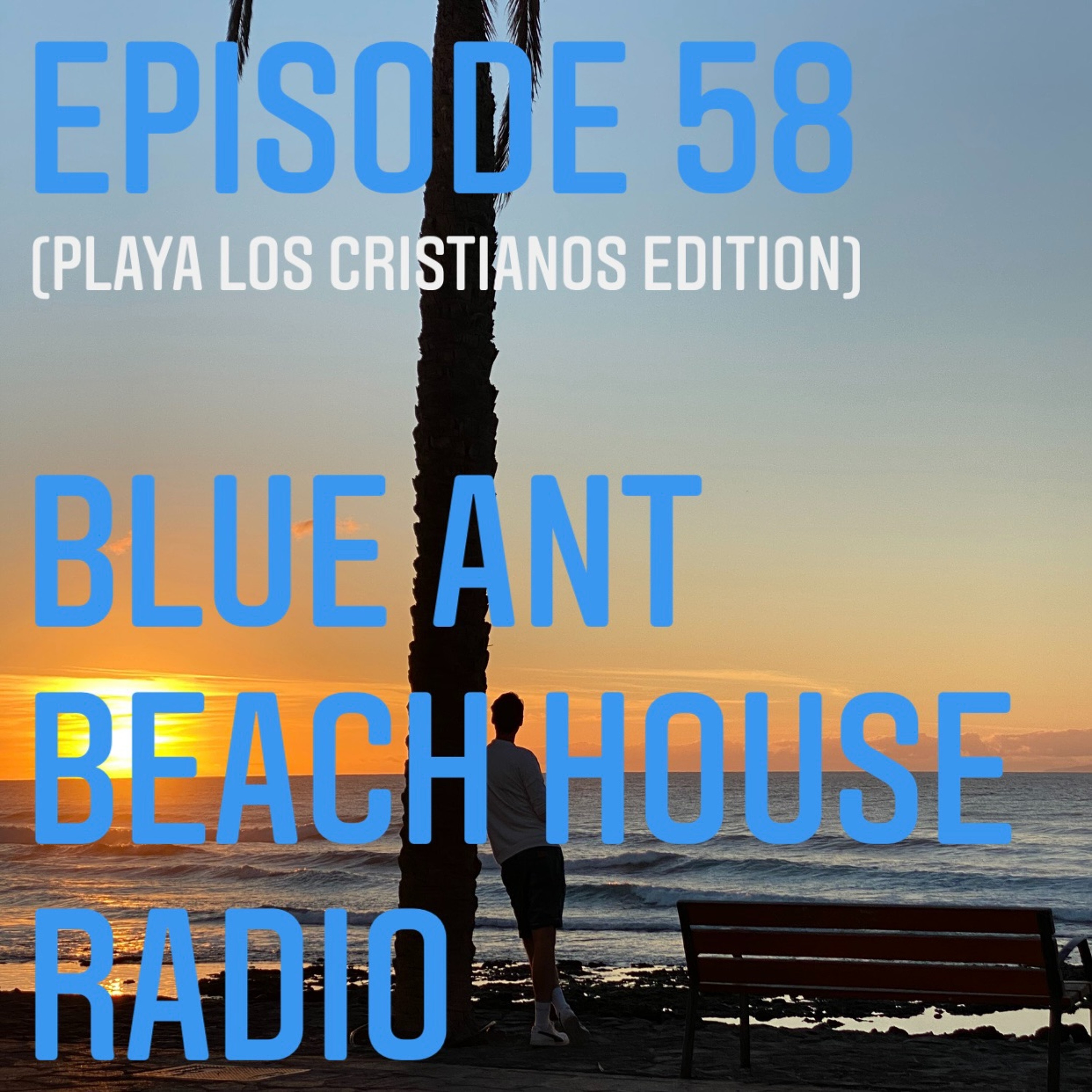 BlueAnt Beach House Radio
