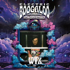 Electric Boogaloo Gathering 2024 - WYX