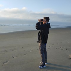 Wings out (mixed by Andy)