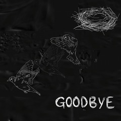 Goodbye