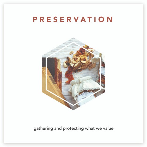 PRESERVATION 🐿 gathering and protecting what we most value - (5/30)