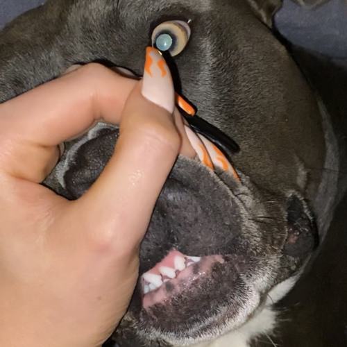 GorillaGrip