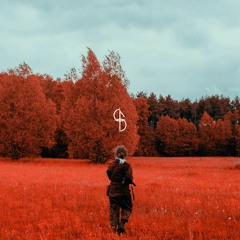 11/8 - The Peters Remix