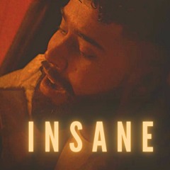 Insane - AP Dhillon (ALAKH Lofi Flip)
