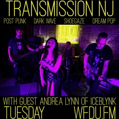 Transmission NJ with Andrea Lynn of Iceblynk 2/27/24