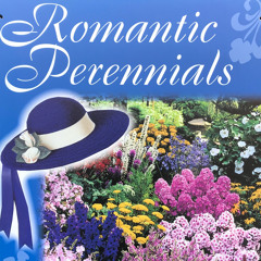 romantic perennials