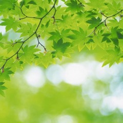 大MikesBig混合 background full DOWNLOAD