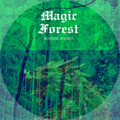 Magic Forest