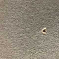 The Nail's Long Gone But The Hole's Still There