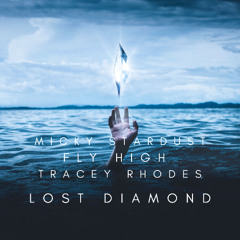 LOST DIAMOND (A Tribute To Tracey Rhodes) (Extended Mix)