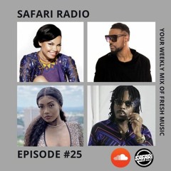 SAFARI RADIO EPISODE #25