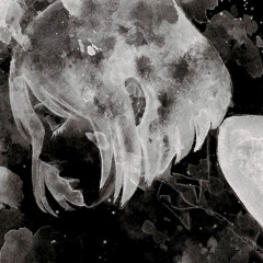 Chris Grey - WRONG
