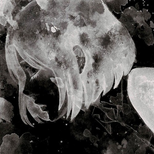 Chris Grey - WRONG
