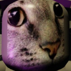 bondage fairies + gidropony