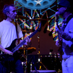 Shivanam - Vishnu Wish -  Cosmicleaf Records label