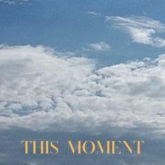 Bruce Barrett - This Moment