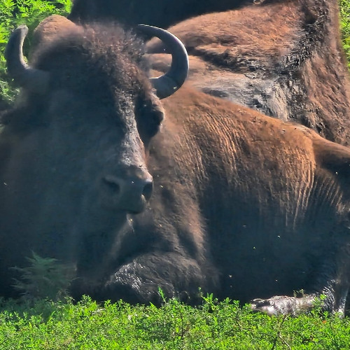 Living Your Best Life