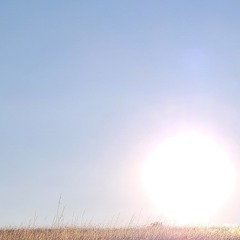 Desert-caravane-sunset