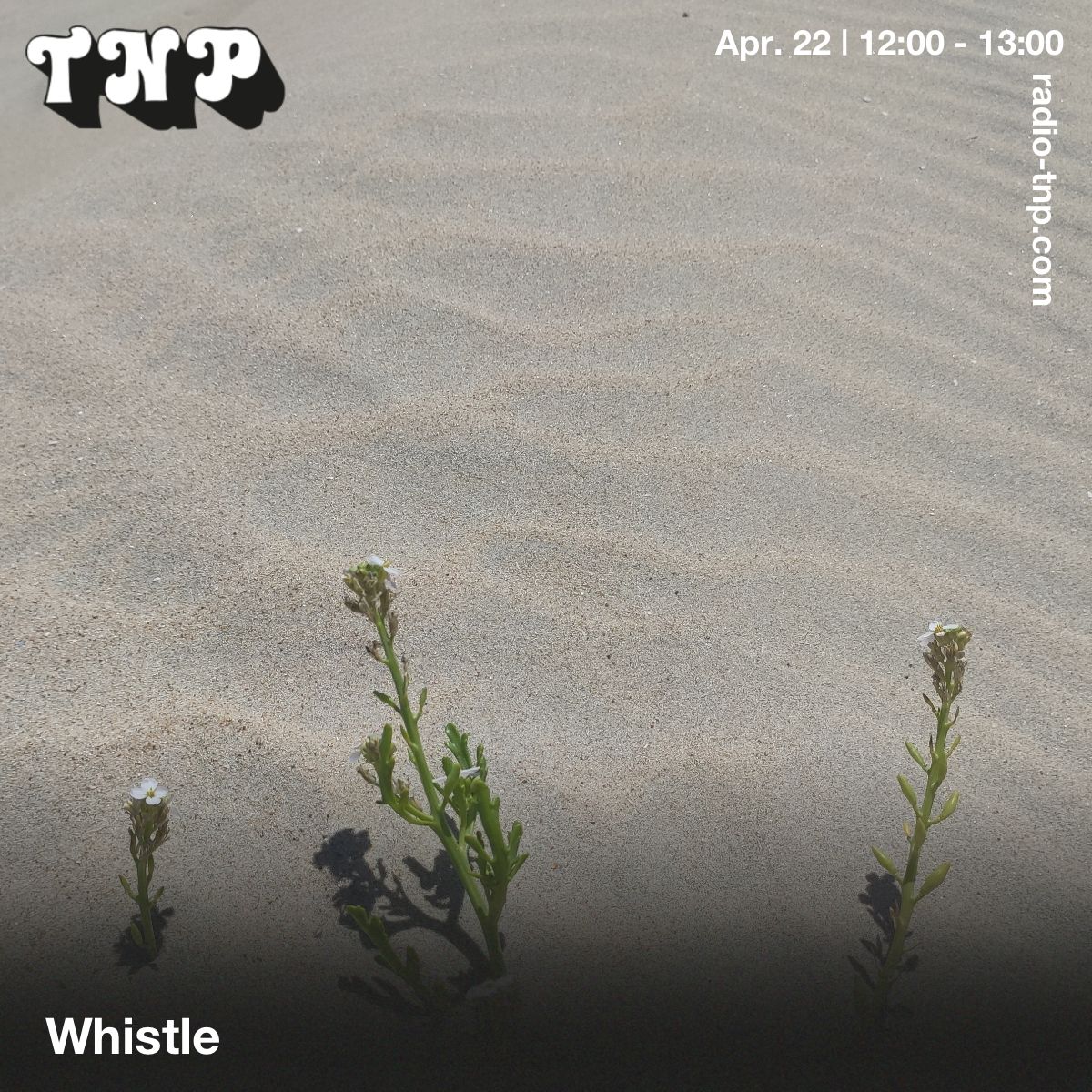 Whistle