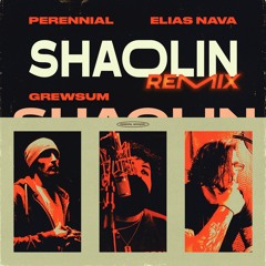 "Shaolin (Remix)" - Perennial, Elias Nava, and Grewsum