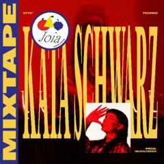 MIXTAPE #61 - Katalina Schwarz
