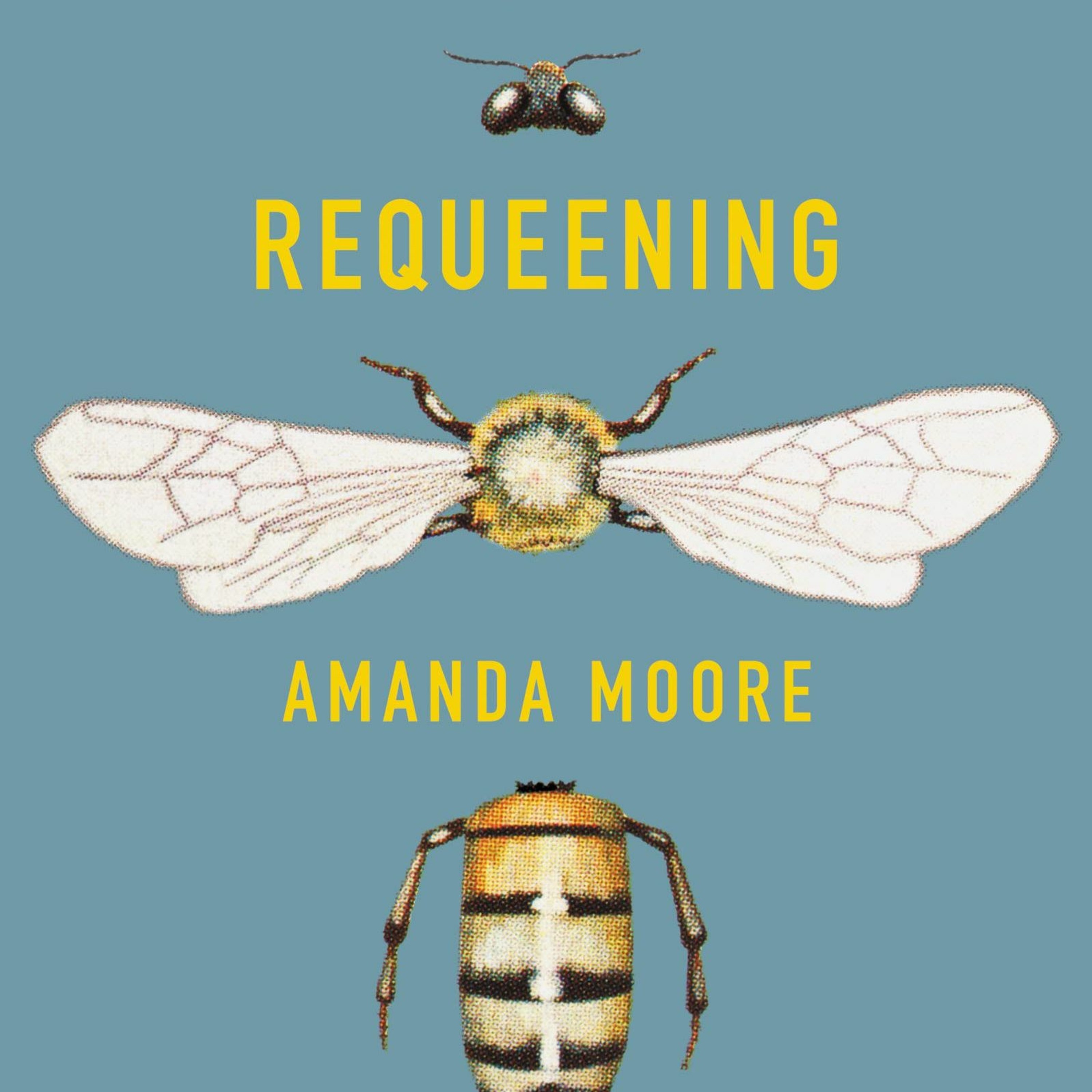 Requeening by Amanda Moore episode artwork