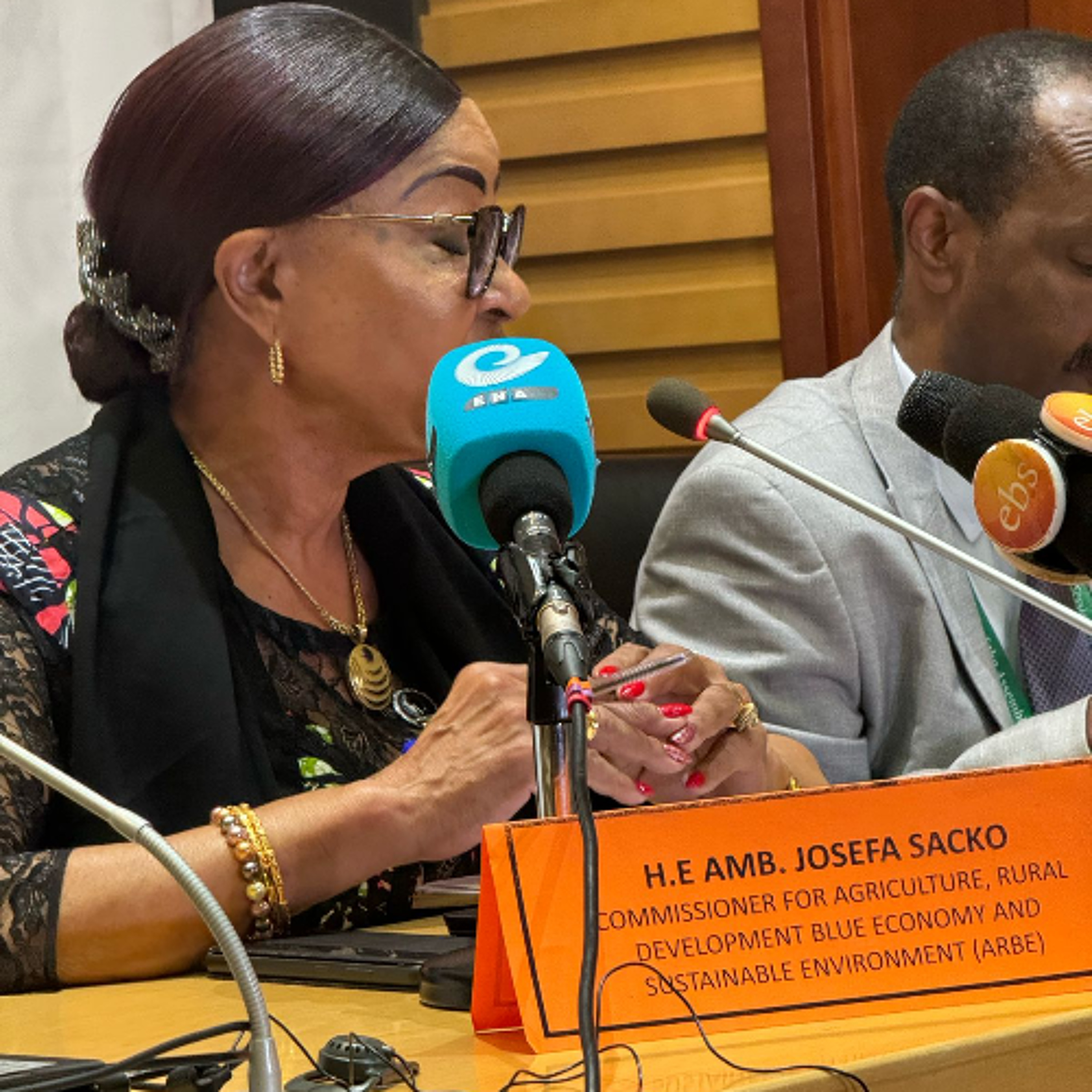 Commissioner, H.E Josepha Sacko engages members of the media at the AU summit in Addis Ababa.