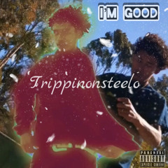 Trippinonsteelo