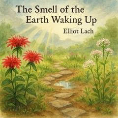 The Smell of the Earth Waking Up