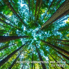 POSITIVE VIBRATIONS MIX CD 12 - DJ TREEZ