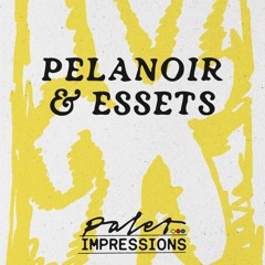 PALET In Yellow • Essets & Pelanoir
