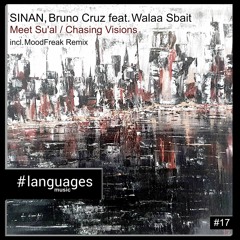SINAN & Bruno Cruz - Chasing Visions (Original Mix)