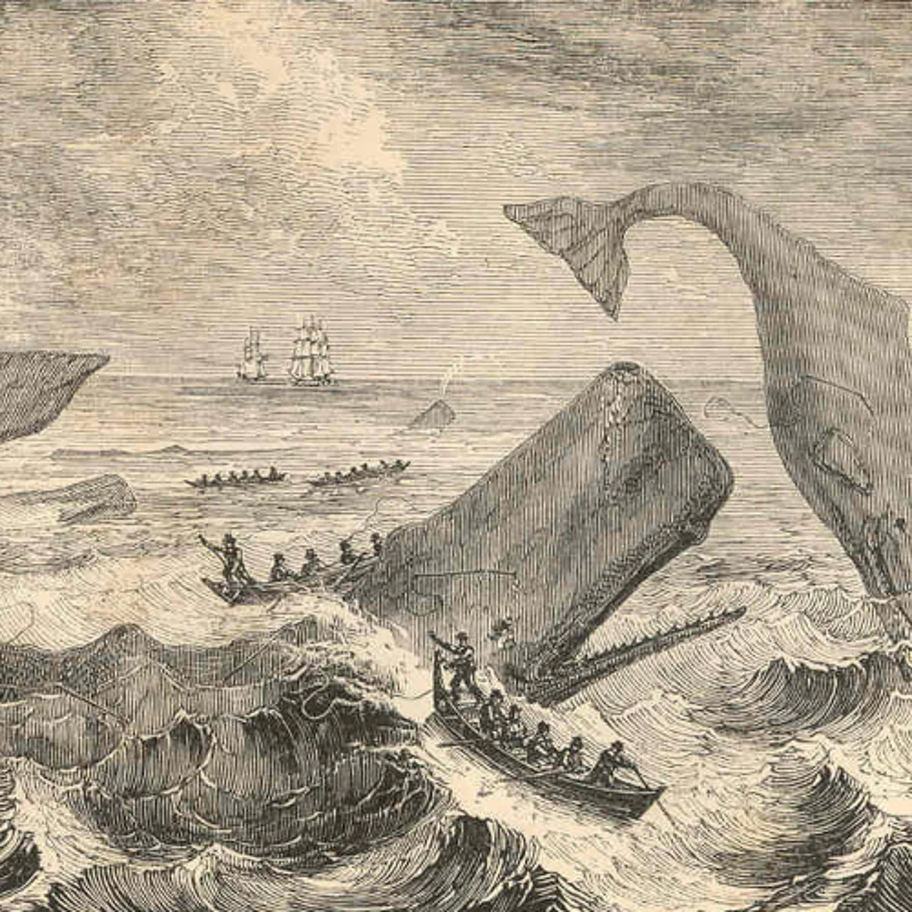 "Sperm Whales and Polynesians: The Diasporic Worlds of Hawaiian Whaler John Bull and His Prey" episode artwork
