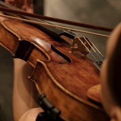 Violinista Milano. Musica per eventi e matrimoni. Chiama il 329 8998673