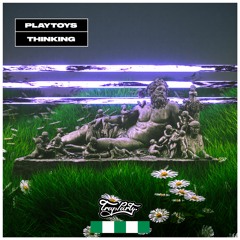 PLAYTOYS - THINKING