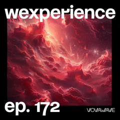 WExperience #172