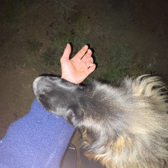 Last Kickmas (WHAM! X Hardstyle)