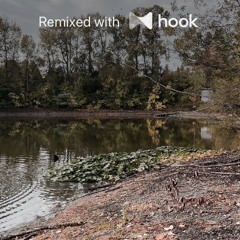 Chiman Zira - Link Purane (@luckycharm Hook Remix)