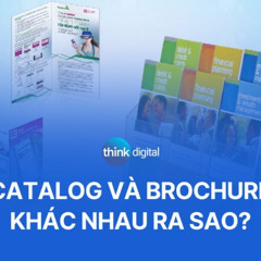 Catalog và Brochure khác nhau như thế nào? Đặc điểm, ứng dụng