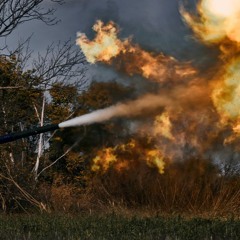 Forest FIre