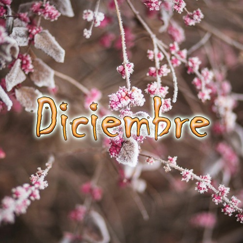 Diciembre