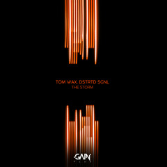 Tom Wax, DSTRTD SGNL - The Storm (Tom Wax Mix)