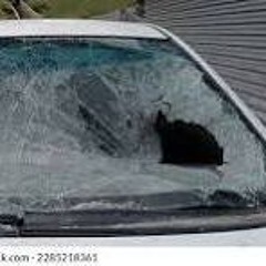 Locked In The Car ( Acoustic Reverie)