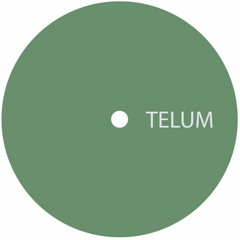 TELUM 013 - Unknown Artist - Untitled A1