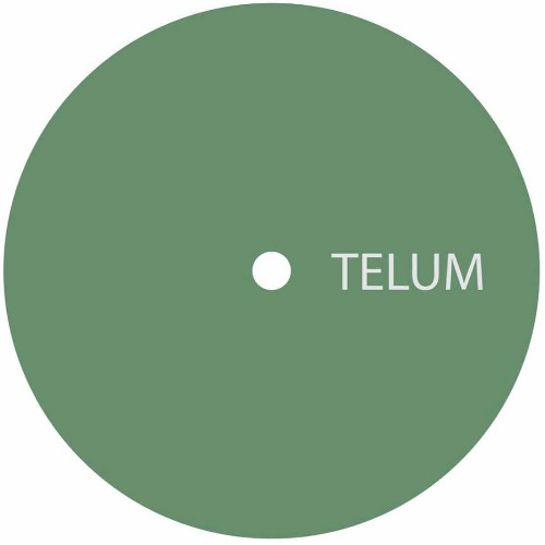 TELUM 013 - Unknown Artist - Untitled A1
