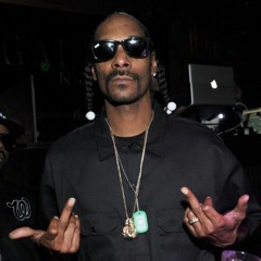 High Speed Chase (ft. Snoop Dogg) BOOTLEG