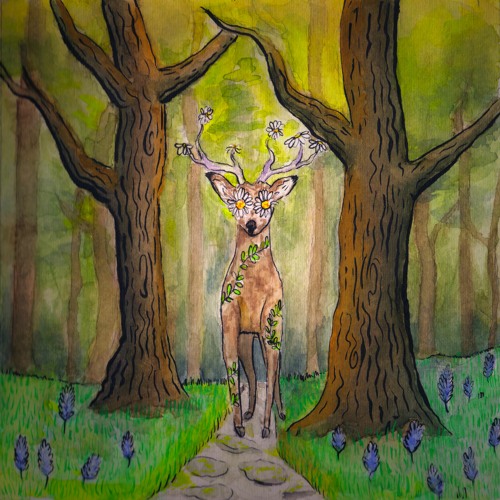 From the woods