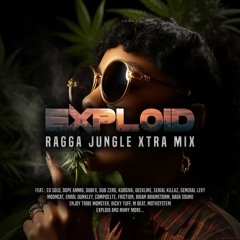 Exploid - Ragga Jungle Xtra Mix (2 HOUR REGGAE DRUM & BASS MIX)