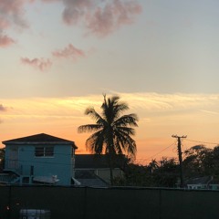 here today gone tomorrow